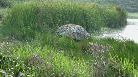 潮間帶Intertidal Zone Art Monitoring Station-Annual Project  for 2005 in kaoshung fine art museum. taiwan  03-04 2005